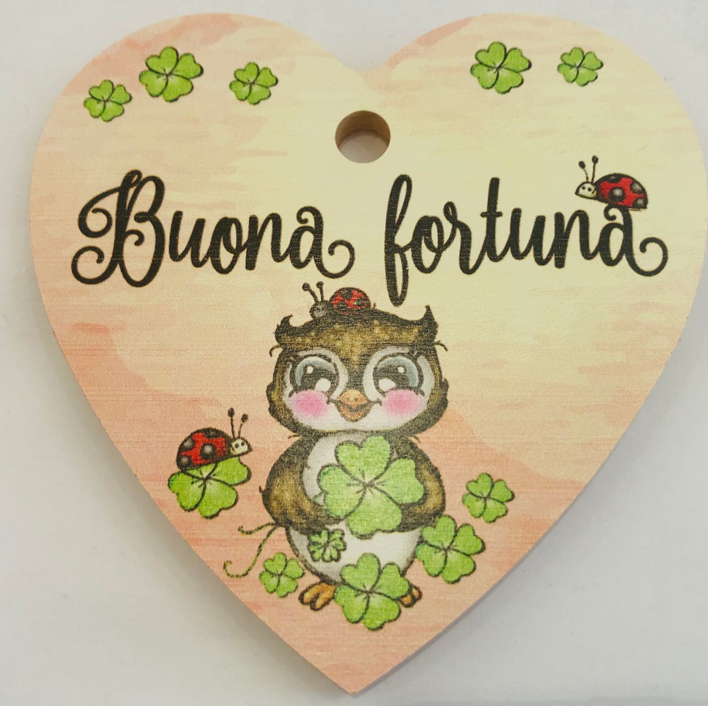 targhetta a cuore gufi