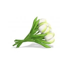 mazzi composti da 9 tulipani 20cm (SU ORDINAZIONE)