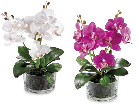 Orchidea artificiale fiorita in vaso di vetro