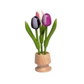 tulipani mini in vaso