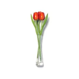 3 Tulpen 35cm in Glasvase