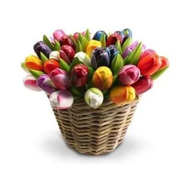 tulipani 35cm con cesto (SU ORDINAZIONE)