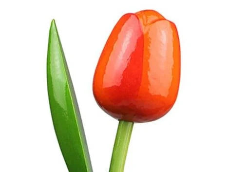 tulipani in legno singoli cm 34