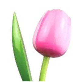tulipani in legno singoli cm 34