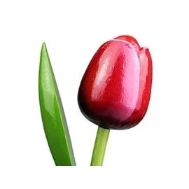 tulipani in legno singoli cm 34