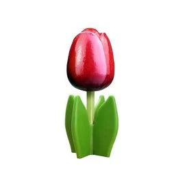 tulipano in legno su foglia