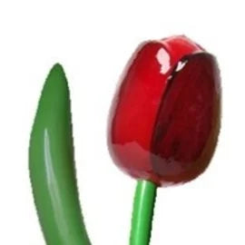 Tulipano gigante (SU ORDINAZIONE)