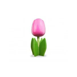tulipano in legno su foglia