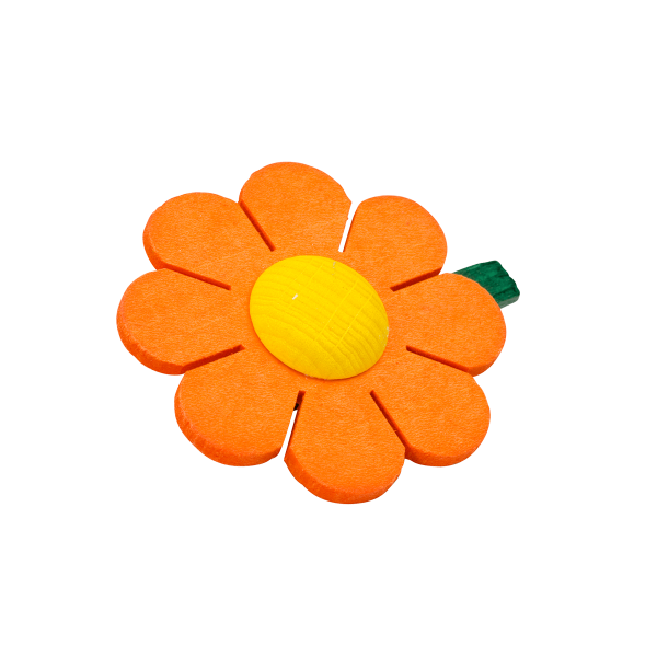 fiori con molletta