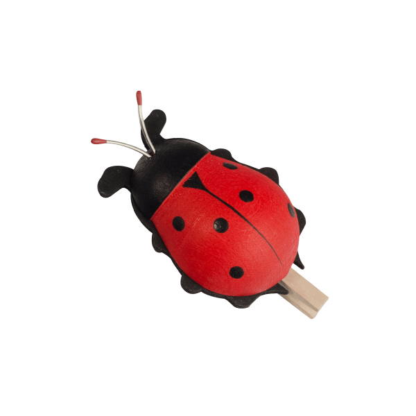coccinelle con molletta