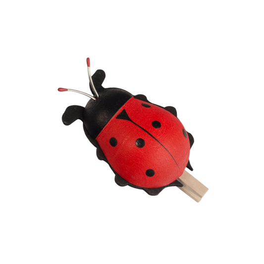 coccinelle con molletta