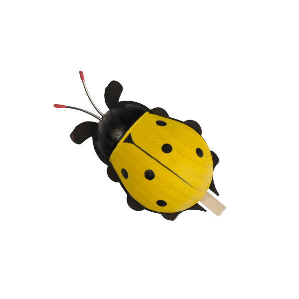 coccinelle con molletta